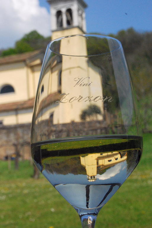 Agriturismo Domus Rustica Cormòns Eksteriør bilde
